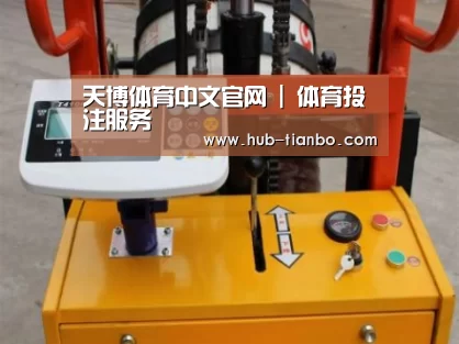 天博体育入口案例展示三